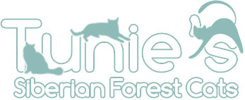 Tunie's Siberian Forest Cats