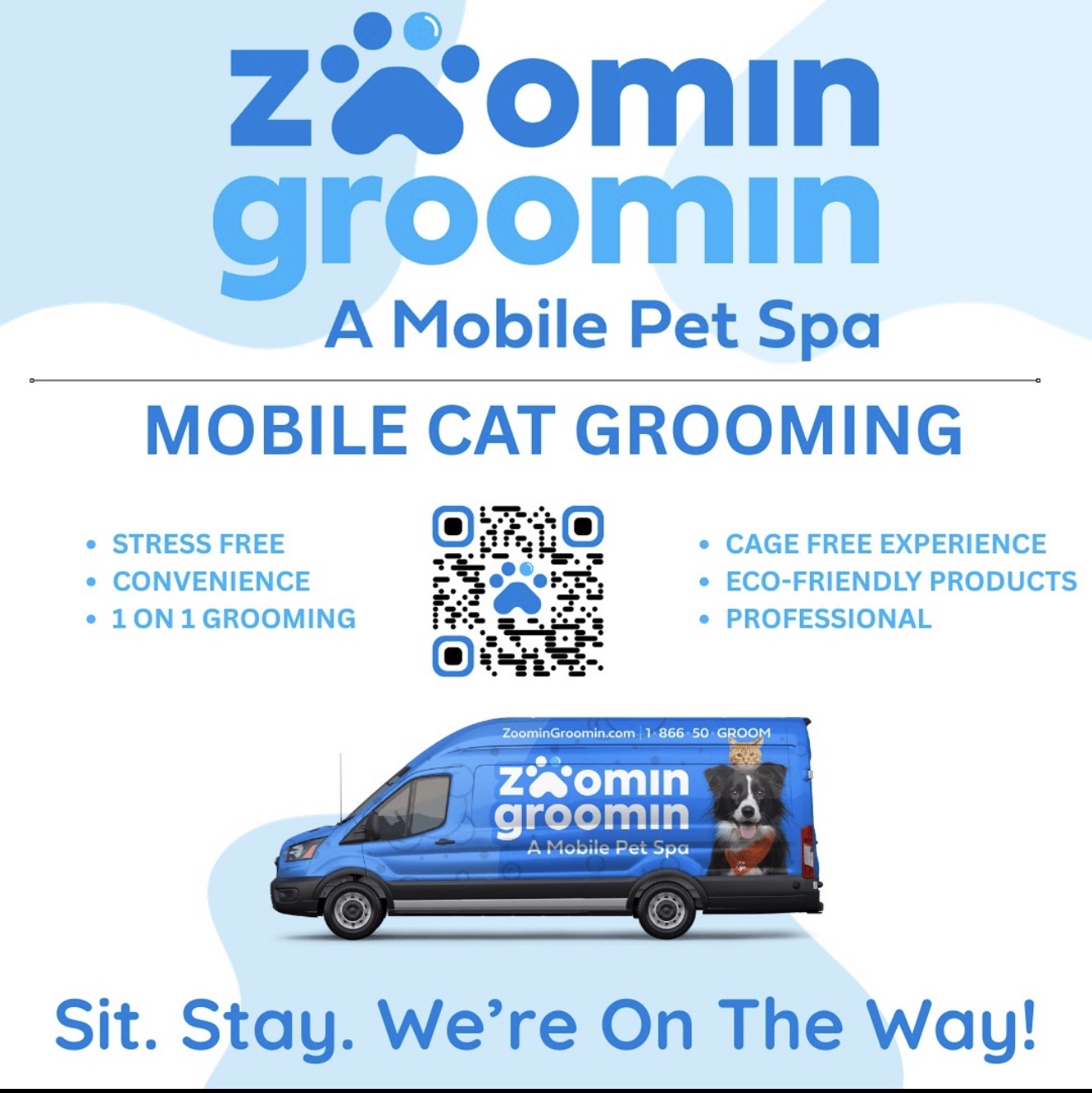Zoomin Groomin Mobile Cat Grooming